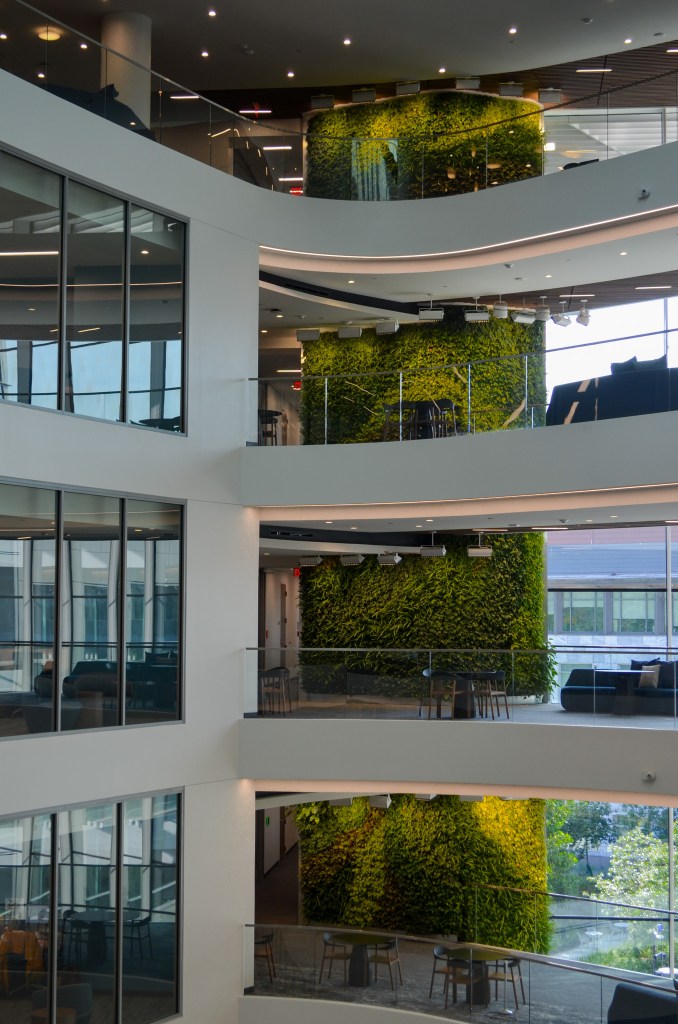 Professional Green Wall Services | Budget, Design, Install, and Maintenance
